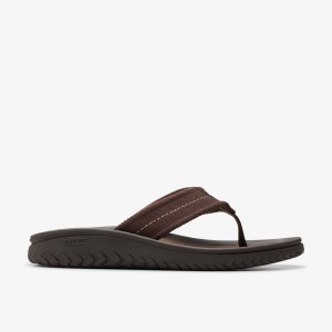 Brown Clarks Men's Wesley Belt Flip Flops | 250SOWJHE