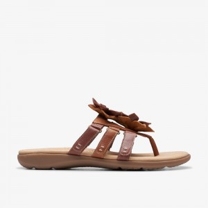 Brown Clarks Women's Elizabelle Mae Flat Sandals | 753BQLRWE