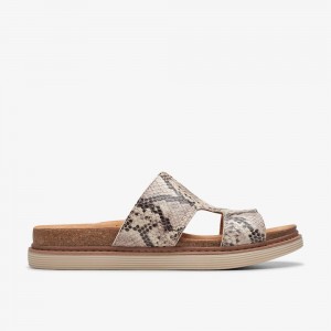 Grey Clarks Women's Arwell Walk Flat Sandals | 391QUKBOT