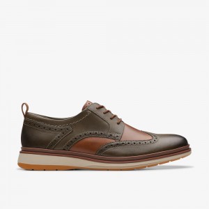 Olive Clarks Men's Chantry Wing Oxfords | 185FKAHZU