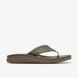 Olive Clarks Men's Wesley Belt Flip Flops | 395BDZYKT