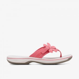 Pink Clarks Women's Brinkley Flora Flip Flops | 127LXJOHA