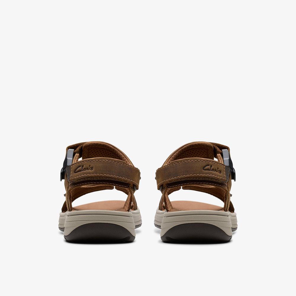 Brown Clarks Men's Saltway Trail Flat Sandals | 962MZNLQT