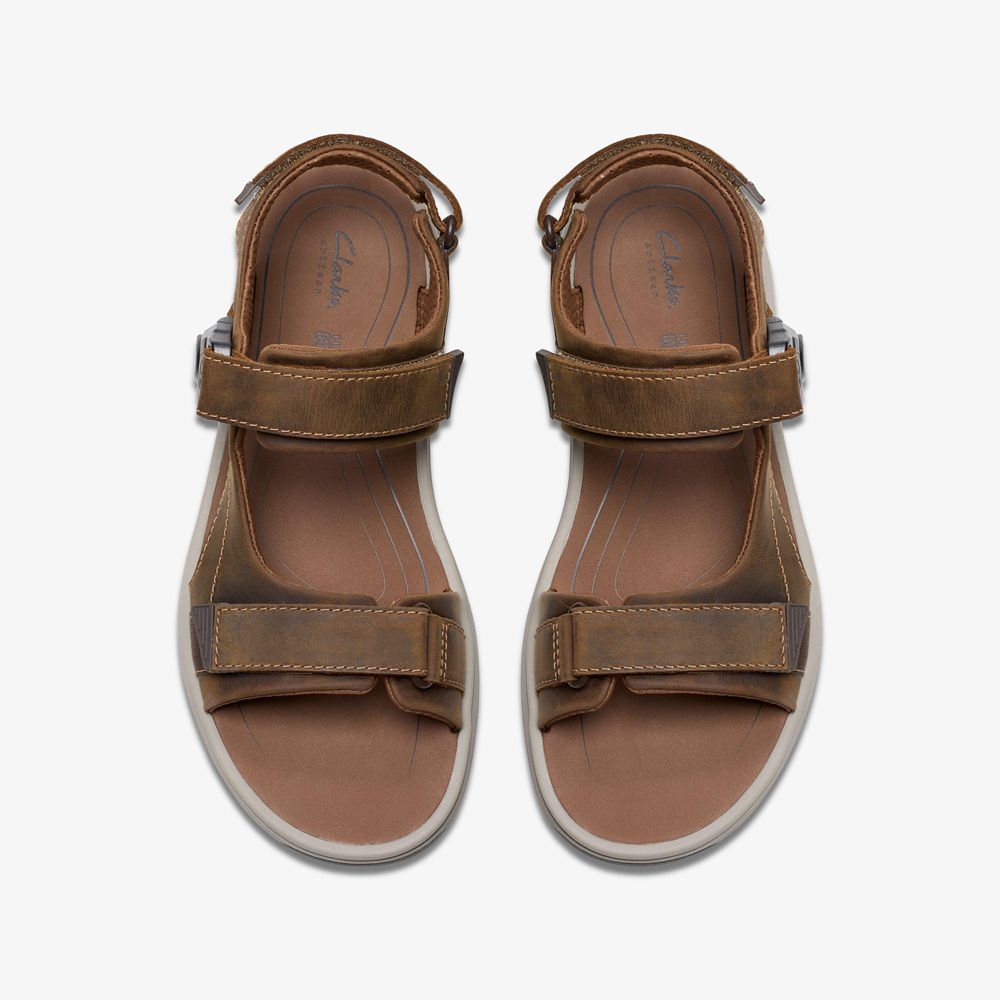 Brown Clarks Men's Saltway Trail Flat Sandals | 962MZNLQT