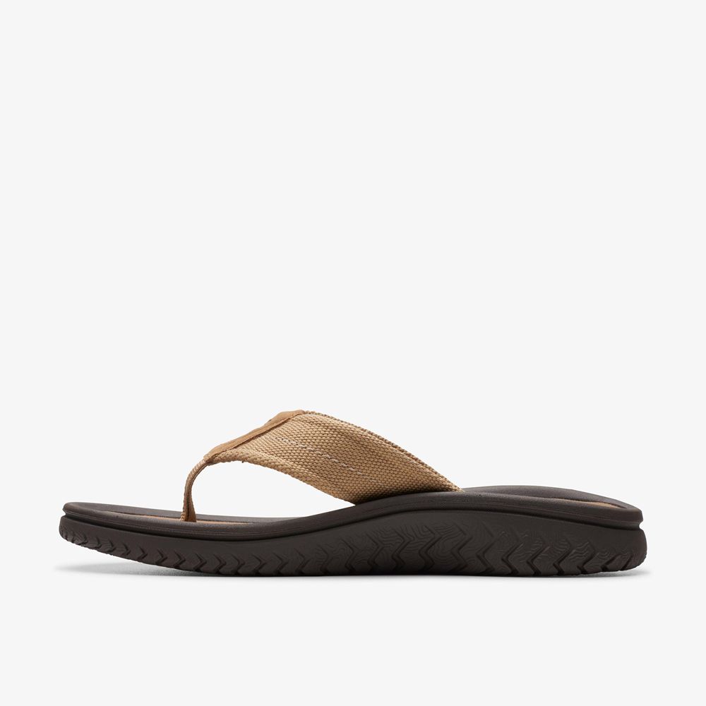 Brown Clarks Men's Wesley Belt Flip Flops | 035MTGLBK