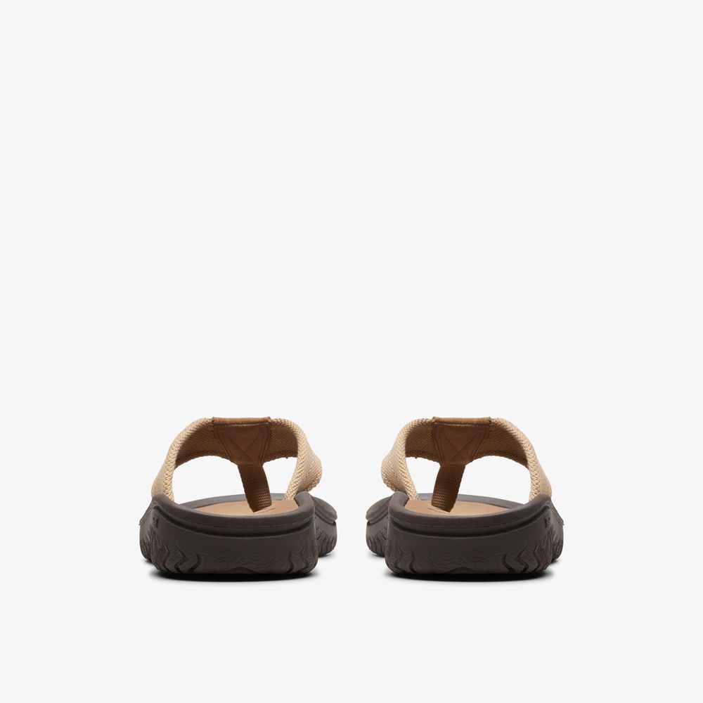 Brown Clarks Men's Wesley Belt Flip Flops | 035MTGLBK