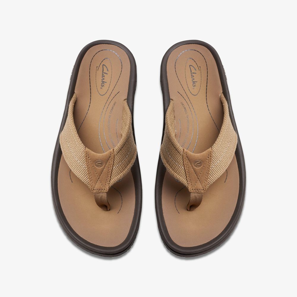 Brown Clarks Men's Wesley Belt Flip Flops | 035MTGLBK