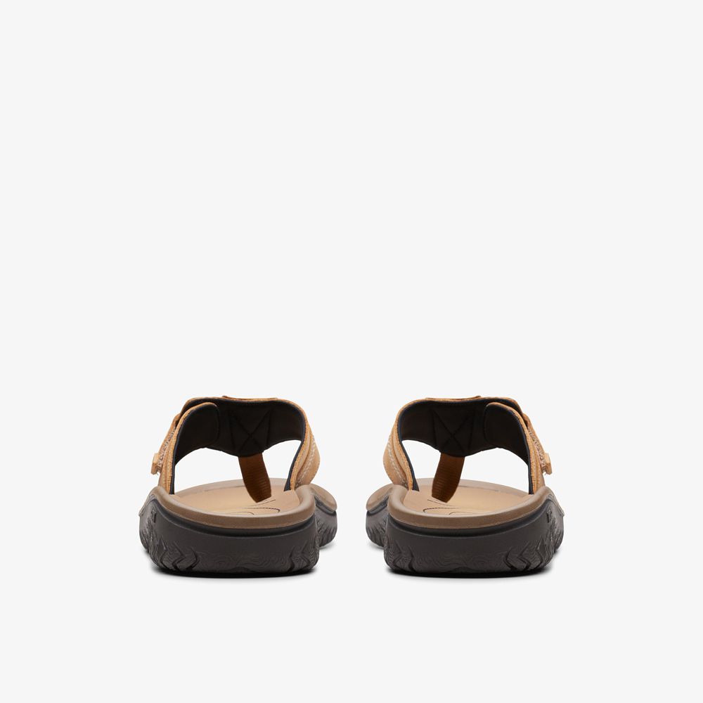 Brown Clarks Men's Wesley Sun Flip Flops | 604KFHJIG