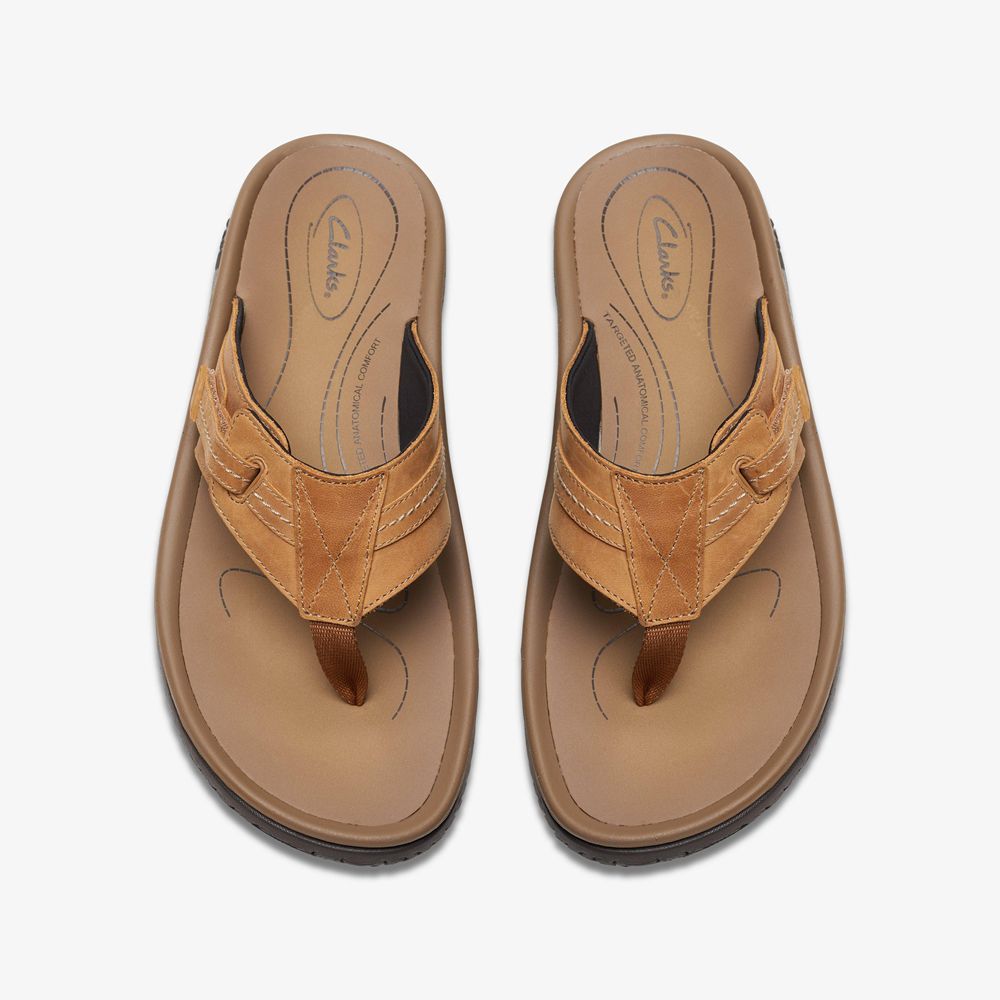 Brown Clarks Men's Wesley Sun Flip Flops | 604KFHJIG