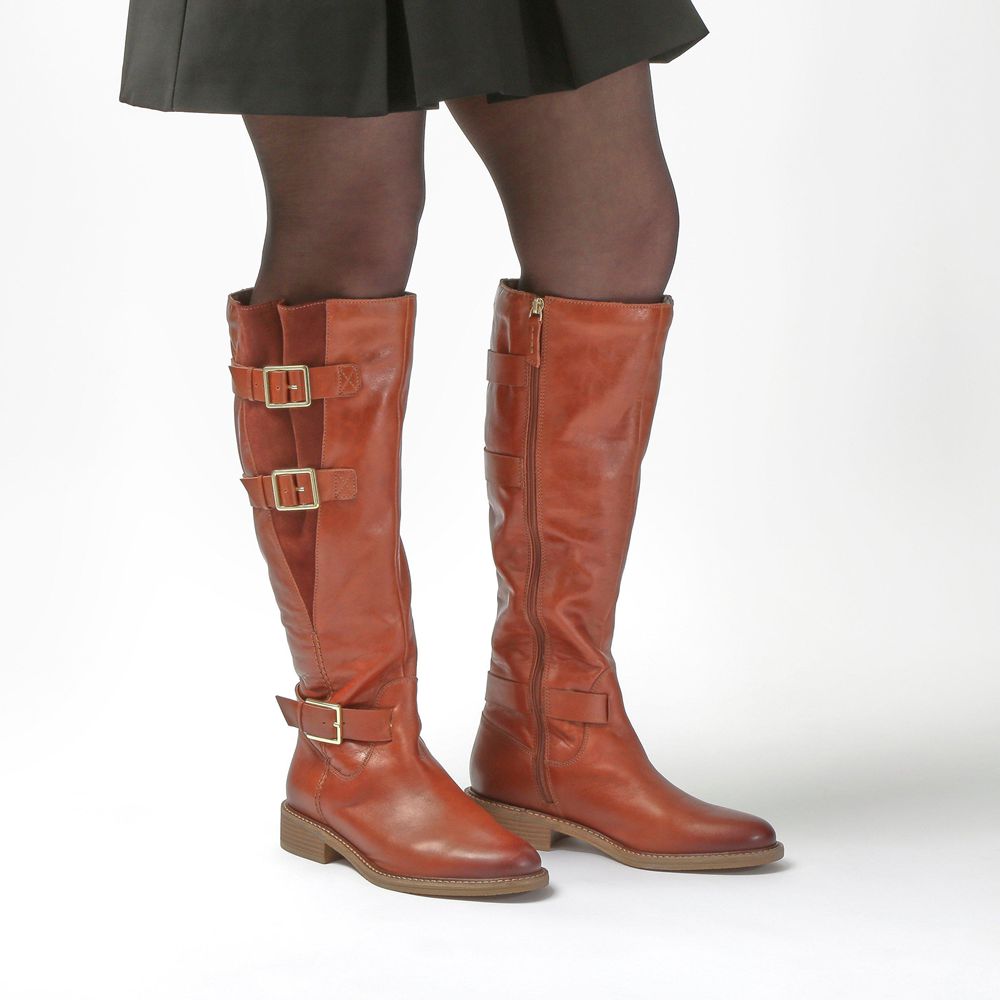 Brown Clarks Women's Cologne Up Knee High Boots | 973HKBCYU