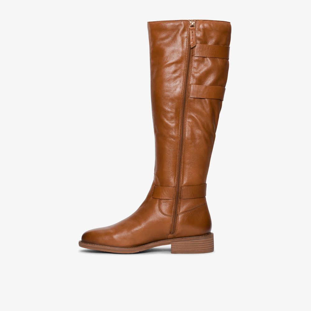 Brown Clarks Women's Cologne Up Knee High Boots | 973HKBCYU