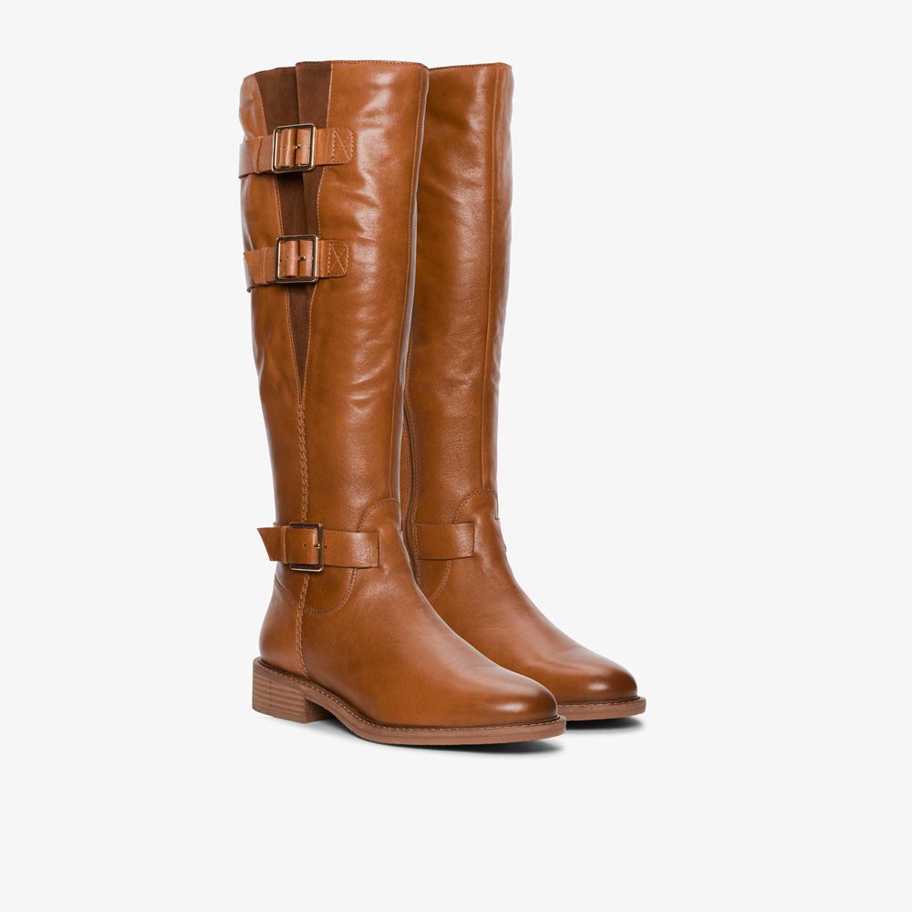 Brown Clarks Women's Cologne Up Knee High Boots | 973HKBCYU