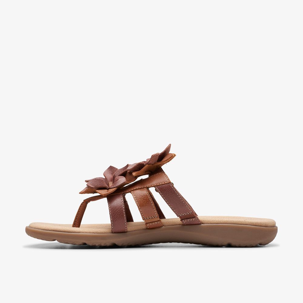 Brown Clarks Women's Elizabelle Mae Flat Sandals | 753BQLRWE