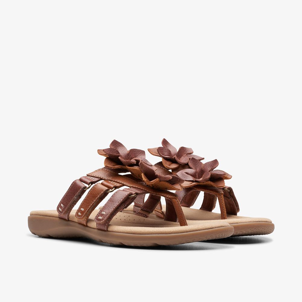 Brown Clarks Women's Elizabelle Mae Flat Sandals | 753BQLRWE