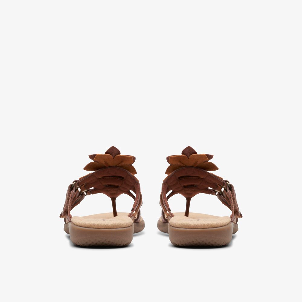 Brown Clarks Women's Elizabelle Mae Flat Sandals | 753BQLRWE