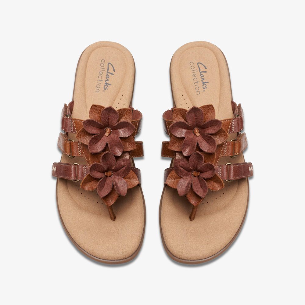 Brown Clarks Women's Elizabelle Mae Flat Sandals | 753BQLRWE