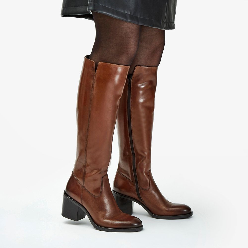 Brown Clarks Women's Valvestino Hi Knee High Boots | 813AHRVEB