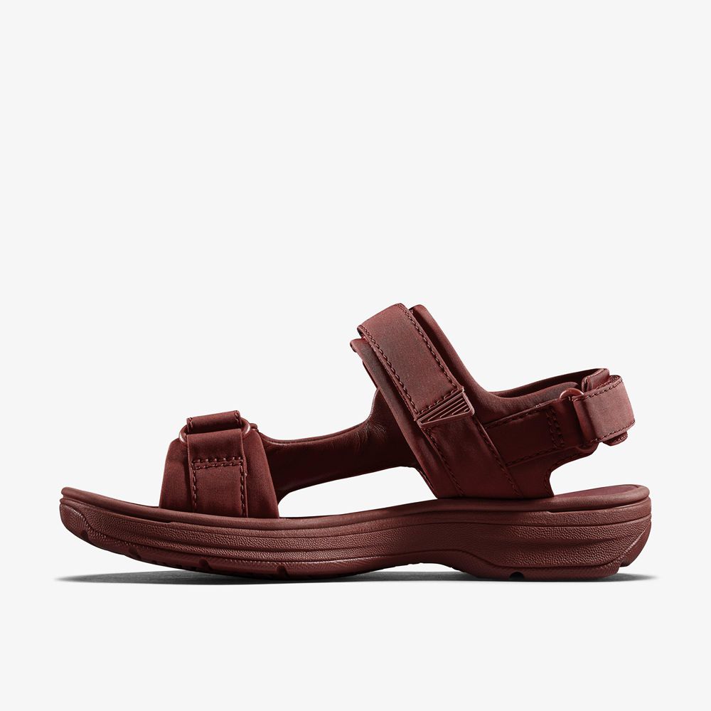 Burgundy Clarks Men's Martine Rose Sandal 2 Flat Sandals | 042UGFVBE