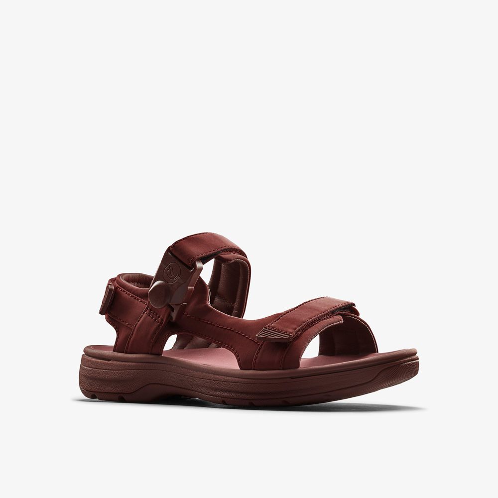 Burgundy Clarks Men's Martine Rose Sandal 2 Flat Sandals | 042UGFVBE