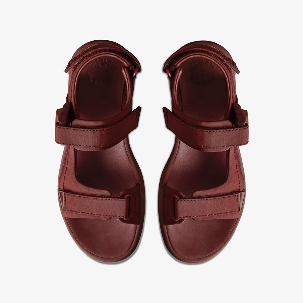 Burgundy Clarks Men's Martine Rose Sandal 2 Flat Sandals | 042UGFVBE