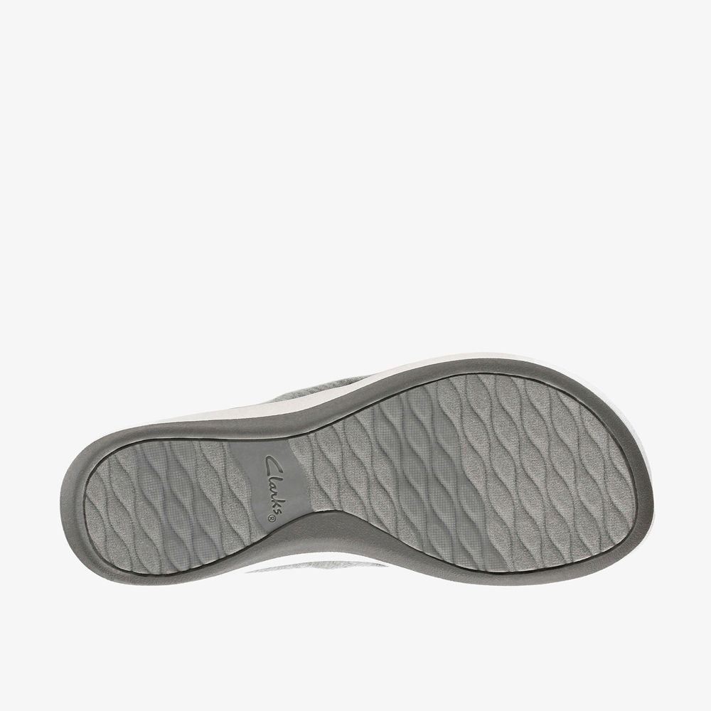 Grey Clarks Women's Arla Glison Flip Flops | 034PMCHNZ