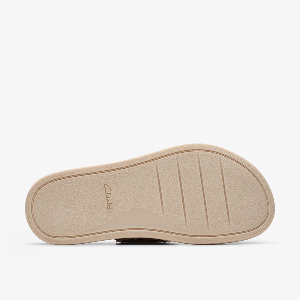 Grey Clarks Women's Arwell Walk Flat Sandals | 391QUKBOT