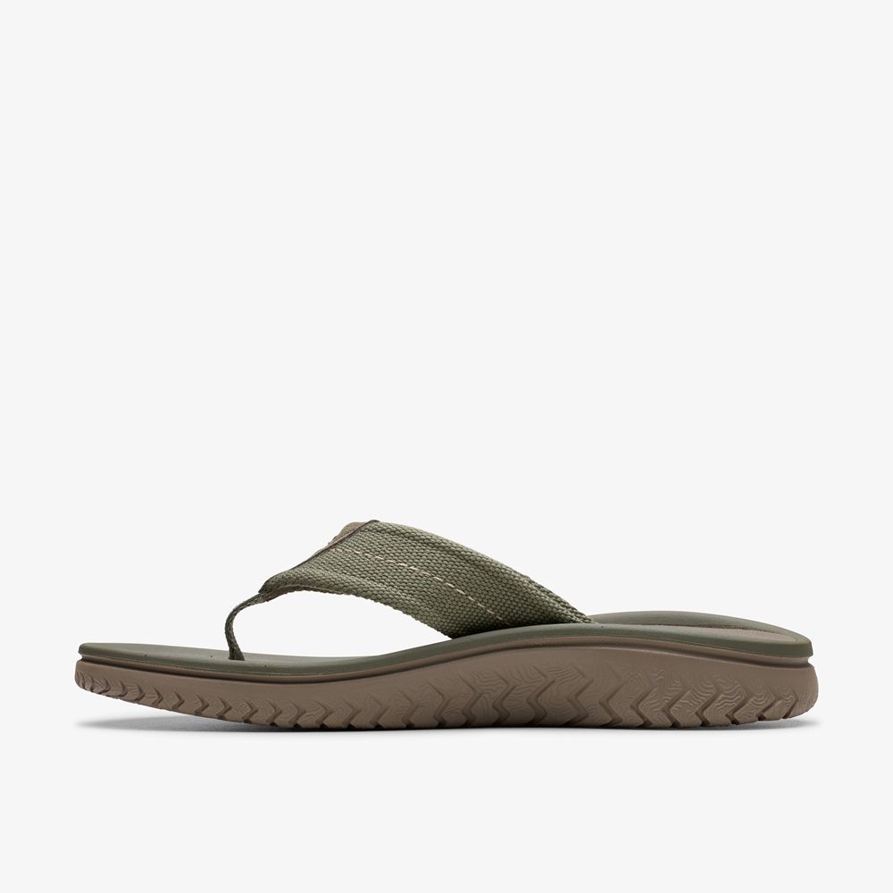 Olive Clarks Men's Wesley Belt Flip Flops | 395BDZYKT