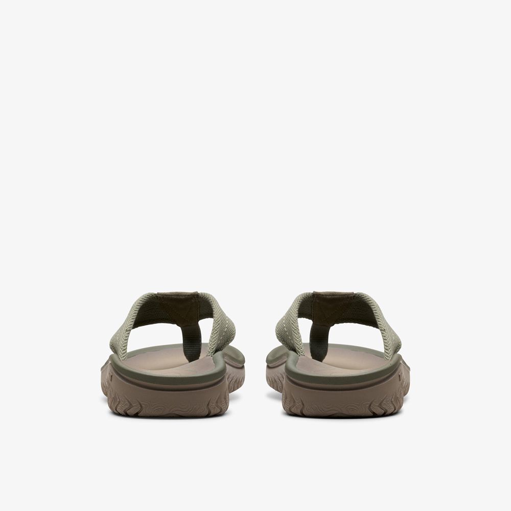 Olive Clarks Men's Wesley Belt Flip Flops | 395BDZYKT