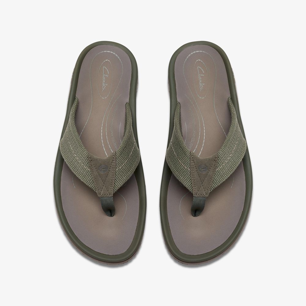 Olive Clarks Men's Wesley Belt Flip Flops | 395BDZYKT